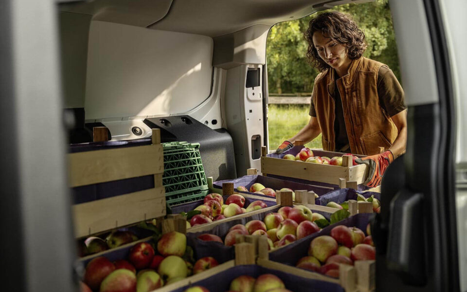 Volkswagen Caddy huren transport appels